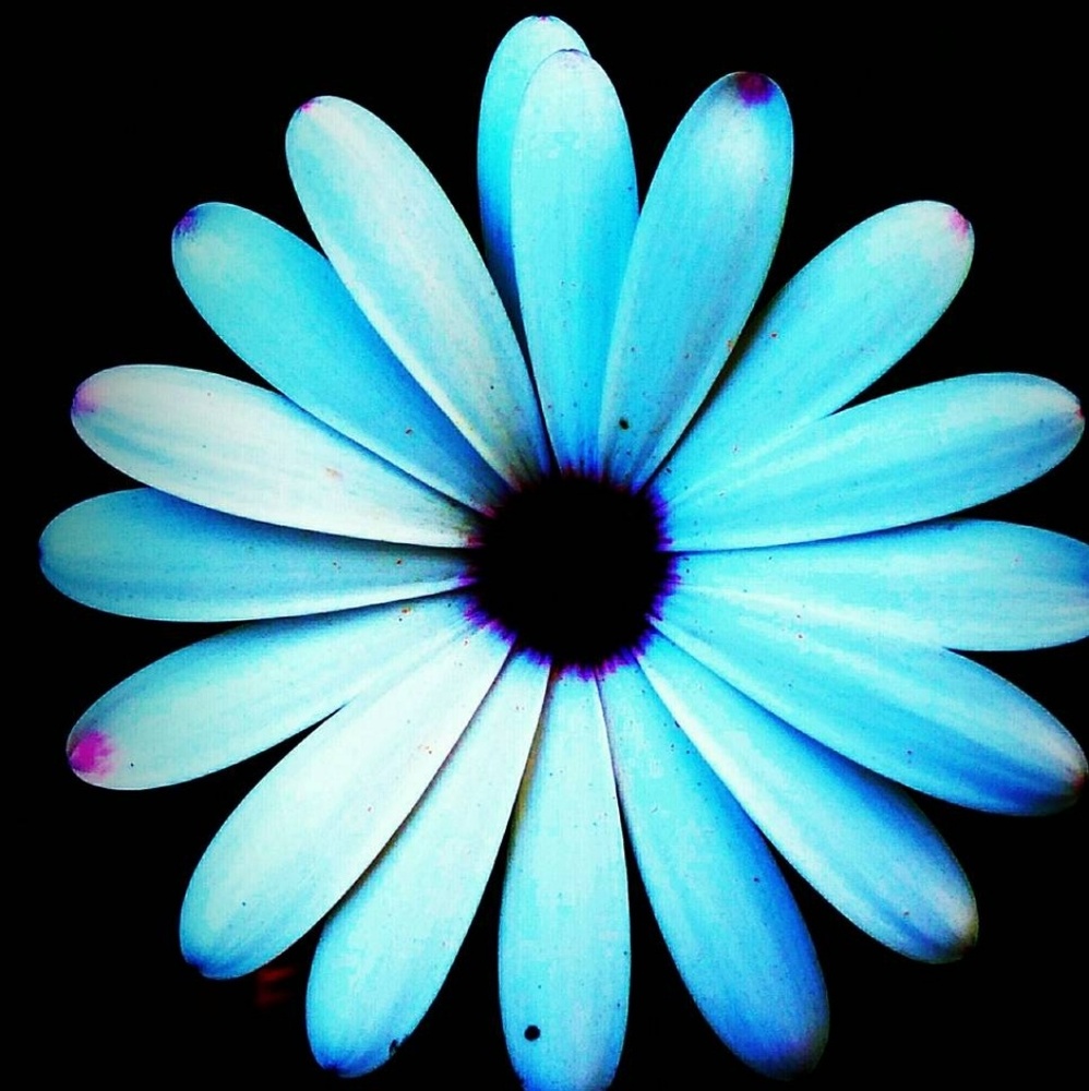 Meet your Posher, Beverlyanna